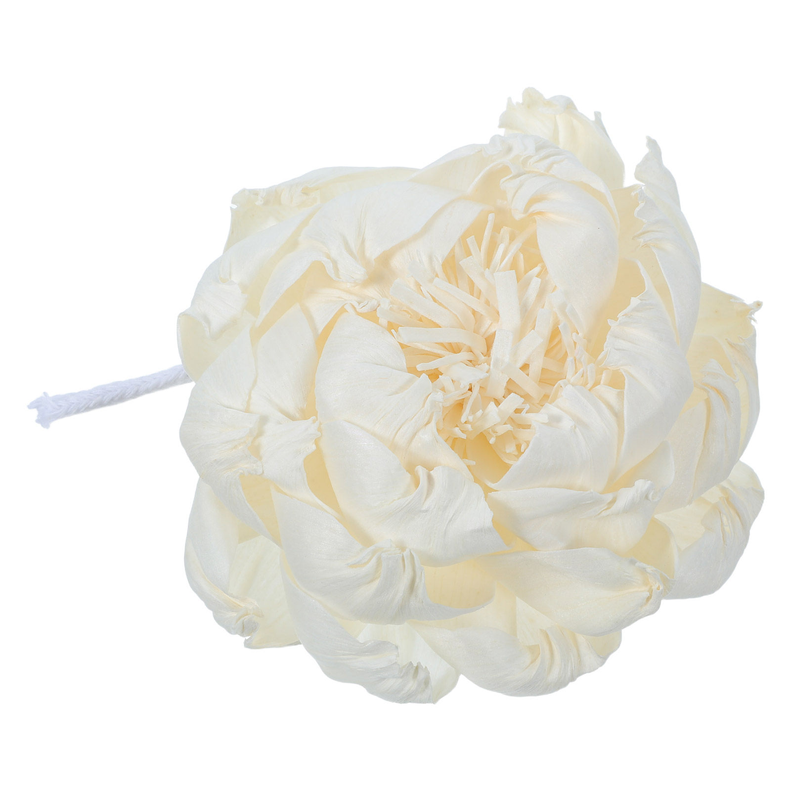 Pfingstrosenkopf-Duftdiffusor  – Home Fragrance Us Bewertung und Preis