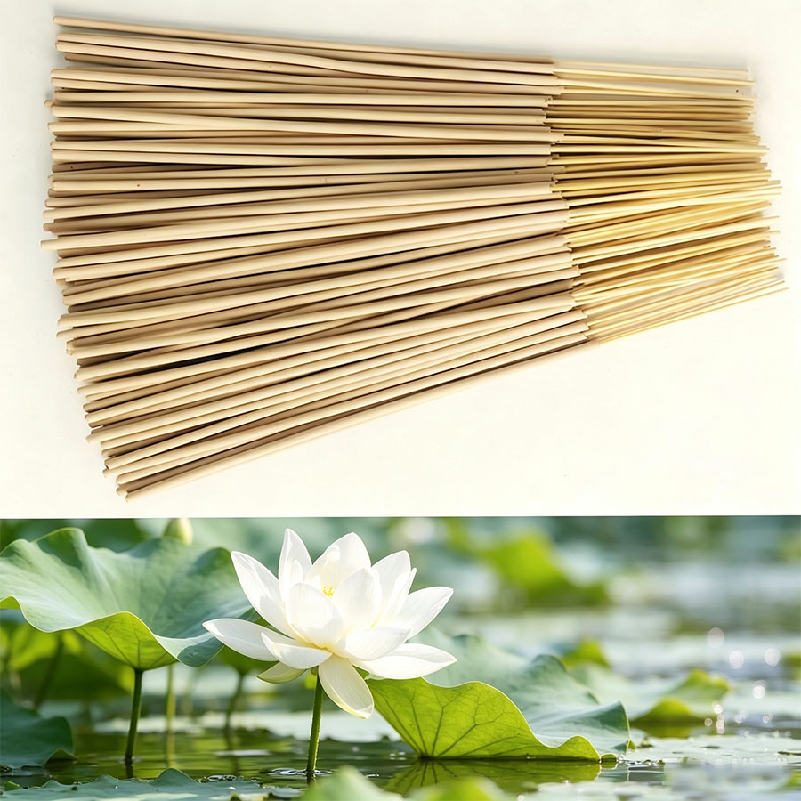 20/60/100/160/220 Stück hochwe – Home Fragrance White Lotus Bewertung und Preis