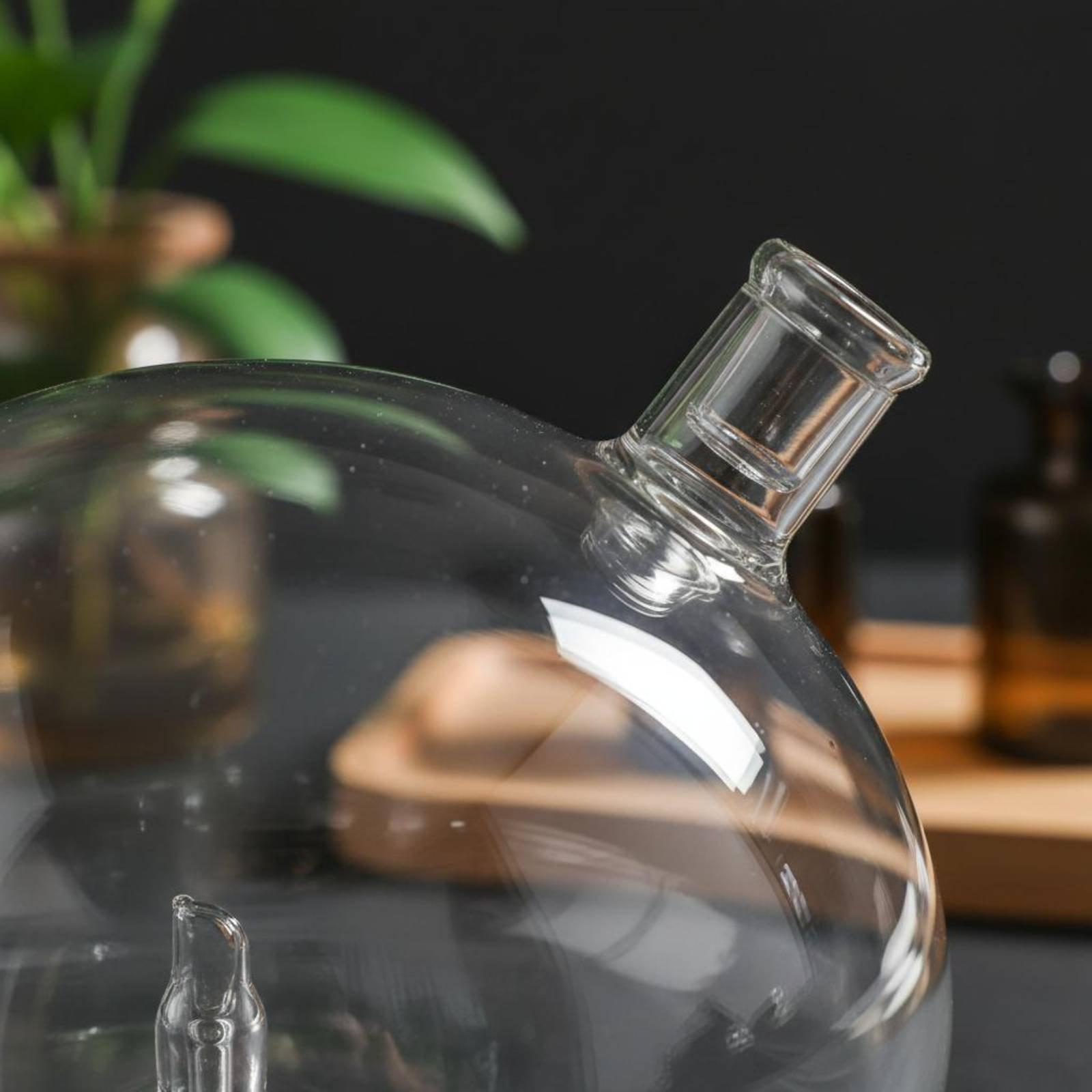 Diffusorflasche Universell Pas – Home Fragrance Us Bewertung und Preis